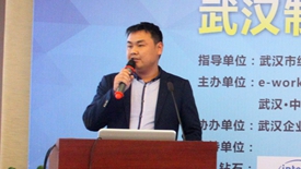 凡谷电子信息化经验分享